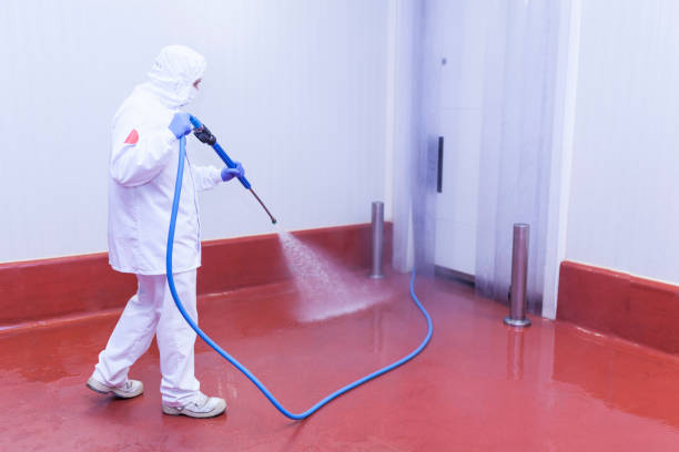Best Driveway Cleaning and Restoration in Oak Grove, TN